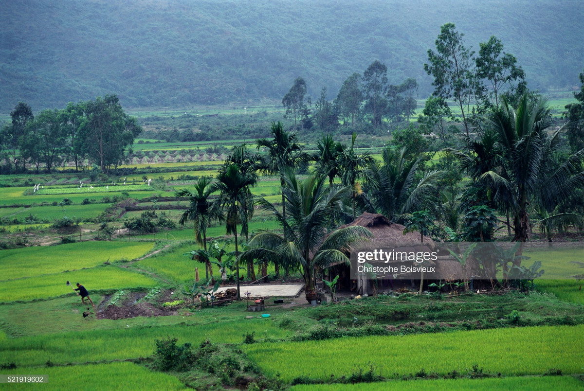 Khung cảnh đồng quê ở ngoại vi Đà Nẵng.