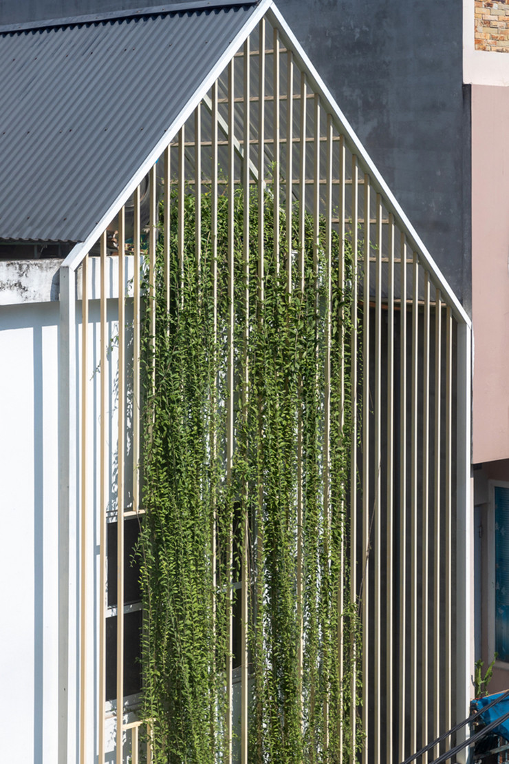 Trong nhà được trồng rất nhiều cây xanh để đối phó với cái nắng gay gắt của mùa hè miền bắc.