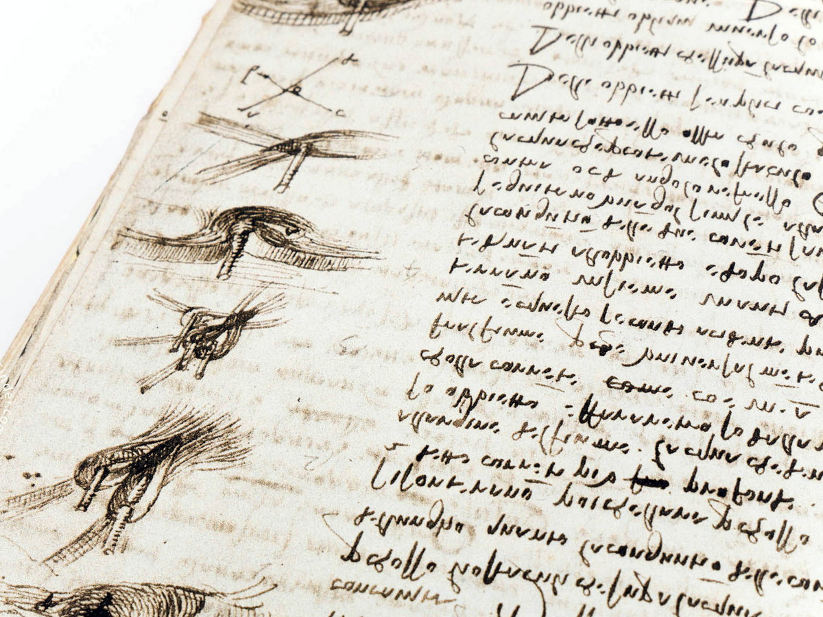 Co gi trong cuon so gia 30 trieu USD cua Leonardo da Vinci?-Hinh-2