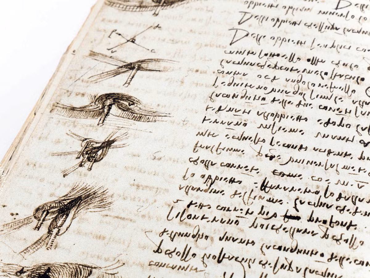 Co gi trong cuon so gia 30 trieu USD cua Leonardo da Vinci?-Hinh-2