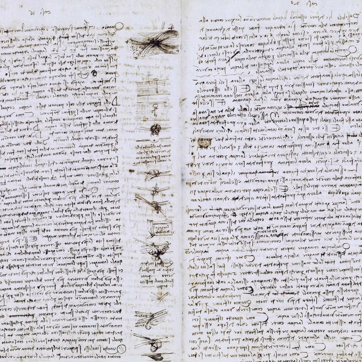 Ngày 11/11/1994, Hammer Codex đã được bán cho một người đấu giá ẩn danh - sau đó nhanh chóng được xác định là Bill Gates - với mức giá cao kỷ lục là 30,8 triệu USD.