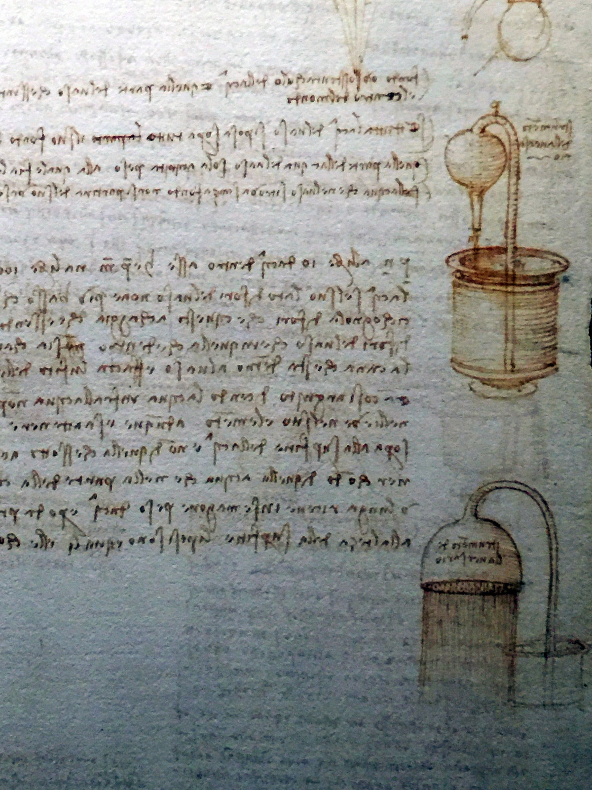 Họa sĩ Giuseppi Ghezzi đã phát hiện ra cuốn sổ vào năm 1690 trong một rương gồm các cuộn giấy thuộc về Guglielmo della Porto, một nhà điêu khắc người Milan thế kỷ 16, người đã nghiên cứu các tác phẩm của Leonardo.