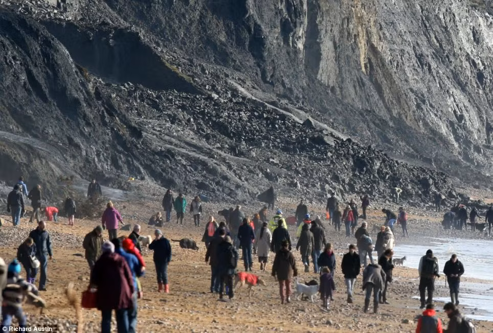 Các nhà khoa học tỏ ra quan ngại trước tình hình ngày càng nhiều cuộc săn lùng hóa thạch diễn ra. Theo họ, những cổ vật này sẽ giúp chúng ta hiểu rõ hơn về Trái đất. Chúng không nên là đồ vật trang trí của những đại gia.