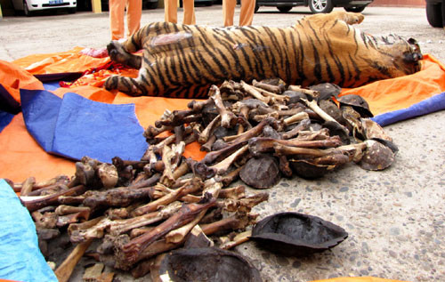 Nhung benh kieng dung cao ho cot: cach dung cao ho cot