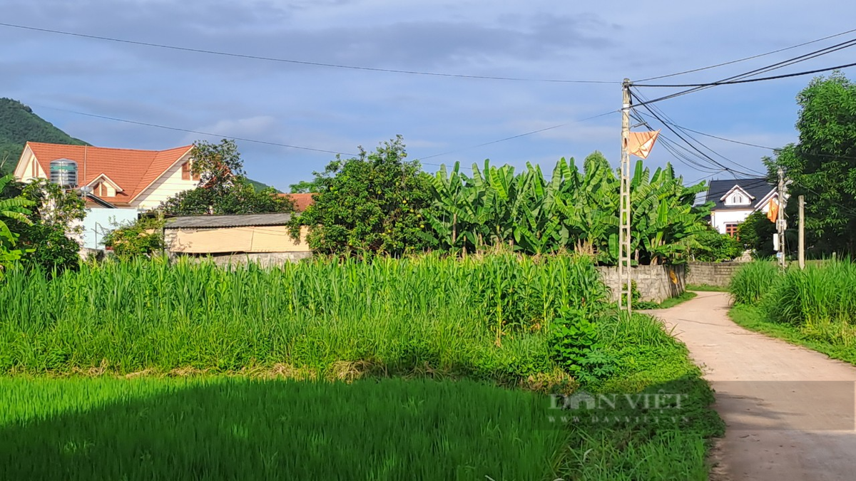 Ong truong xom nguoi San Diu giup ba con xay dung nong thon moi-Hinh-4