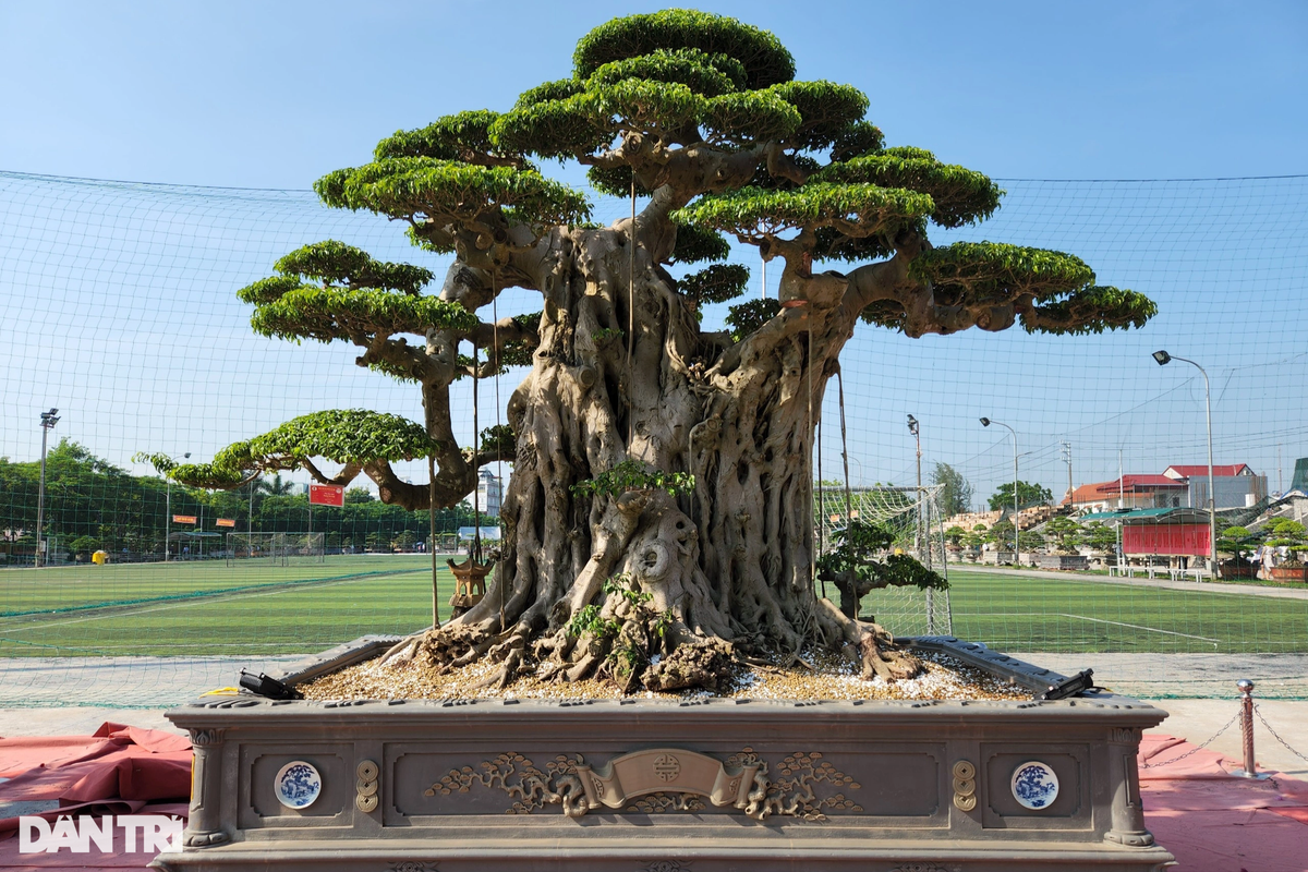 Tác phẩm Phúc Âm Nhất của chủ nhân Hoàng Văn Khải đến từ xã Hải Sơn. Đây là một tác phẩm đại thụ nhận được sự quan tâm của nhiều khách tới tham quan triển lãm.