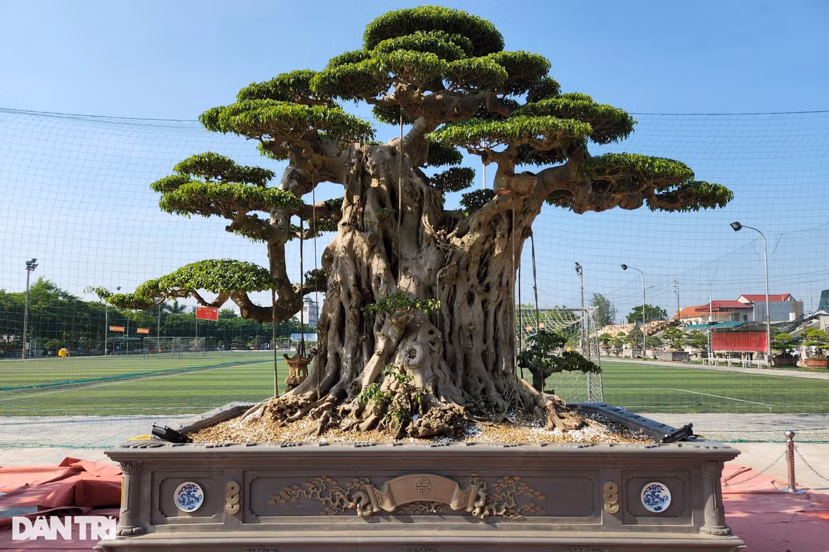 Tác phẩm Phúc Âm Nhất của chủ nhân Hoàng Văn Khải đến từ xã Hải Sơn. Đây là một tác phẩm đại thụ nhận được sự quan tâm của nhiều khách tới tham quan triển lãm.