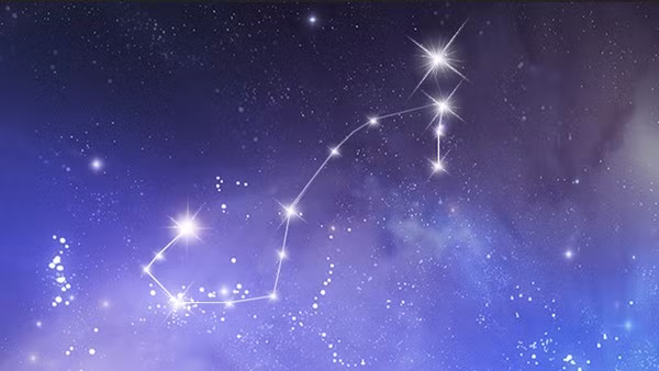 Bọ Cạp (23 tháng 10 - 22 tháng 11): "Trùm" may mắn. Bọ Cạp thường được coi là cung hoàng đạo đầy bí ẩn và quyến rũ độc đáo, nhưng vào năm 2025 sự nhạy bén trong kinh doanh và trực giác của họ sẽ trở thành điểm nhấn rực rỡ nhất. Bọ Cạp luôn là kiểu người rất "toan tính" nhưng có thể nắm bắt chính xác cơ hội. Năm 2025, Bọ Cạp sẽ gặp hàng loạt cơ hội, đặc biệt là trong lĩnh vực kinh doanh và đầu tư. Tầm nhìn và sự sáng suốt của Bọ Cạp sẽ mang lại thành công lớn.