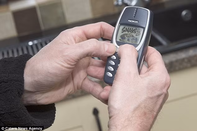  Tuy nhiên, Dave cũng cho biết nó đã trải qua không biết bao nhiêu lần bị dẫm lên và thậm chí là bị rơi vào nồi cà ri khi ông còn sử dụng nó. Ông cũng cho biết ông đặc biệt thích trò Rắn săn mồi trên chiếc điện thoại này.