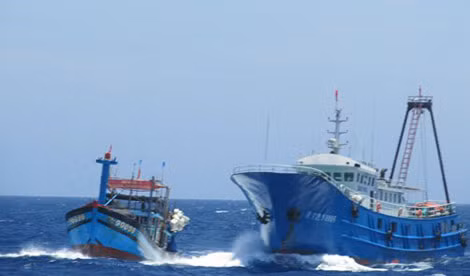 Tàu cá Trung Quốc hung hăng, ngăn cản quyết liệt tàu cá Việt Nam.