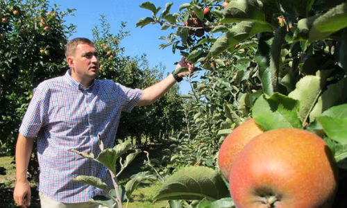 Nhiều nước châu Âu gặp khó khăn khi nông sản không xuất khẩu được sang Nga.