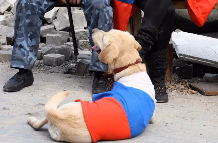 Người biểu tình mặc cờ Nga cho một chú chó ở thành phố Donetsk.
