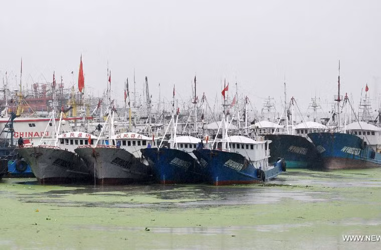 Theo công bố của Bộ Nông nghiệp Trung Quốc, lệnh cấm năm 2014 có hiệu lực kể từ 12 giờ ngày 16/5 đến 12 giờ ngày 1/8, kéo dài trong khoảng 2 tháng rưỡi. Tàu thuyền đánh cá của Trung Quốc neo đậu tại một cảng ngày 31/5/2014 do lệnh cấm đánh bắt cá.