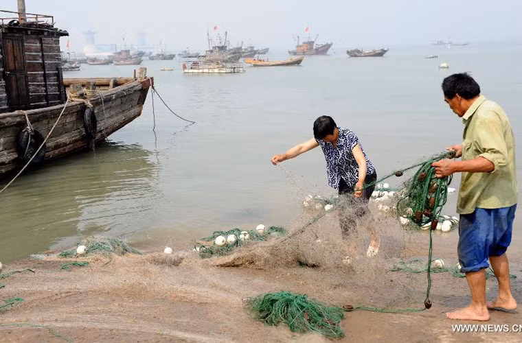 Tiến sĩ Trần Công Trục, nguyên Trưởng ban Biên giới Chính phủ cho biết: “Âm mưu sâu xa của TQ là muốn hiện thực hóa đường lưỡi bò. Tuy nhiên, khi mà dư luận đang quan ngại về việc đặt giàn khoan, TQ lại tiếp tục áp dụng lệnh cấm đánh bắt cá cho thấy họ hành động rất phi lý, ngang ngược, nguy hiểm, coi thường luật pháp quốc tế, coi thường dư luận. Họ tuyên bố về mặt ngoại giao thì rất hay nhưng hành động thì hoàn toàn trái ngược.”