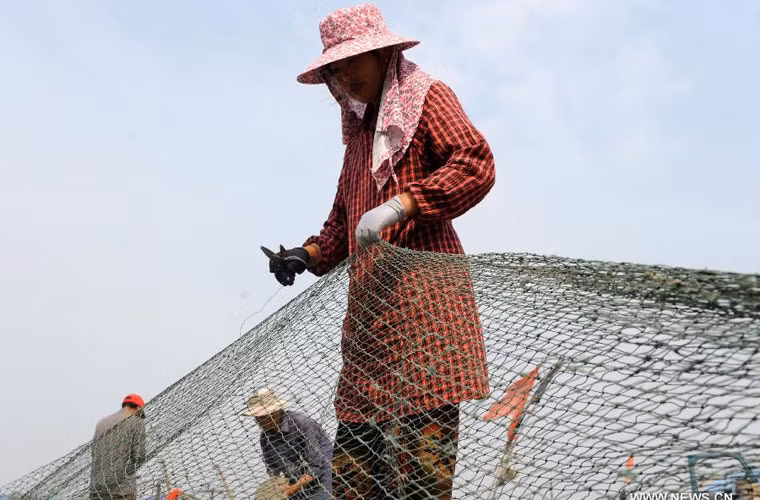 Lệnh cấm đánh bắt kéo dài 3 tháng ở biển Bột Hải, Hoàng Hải và Hoa Đông bắt đầu vào ngày 1/6, kéo dài cho đến 1/9. Trước đó, Trung Quốc cũng ngang ngược cấm đánh bắt cả ở Biển Đông bắt đầu từ ngày 16/5. Phạm vi lệnh cấm chiếm tới khoảng 2/3 diện tích Biển Đông.