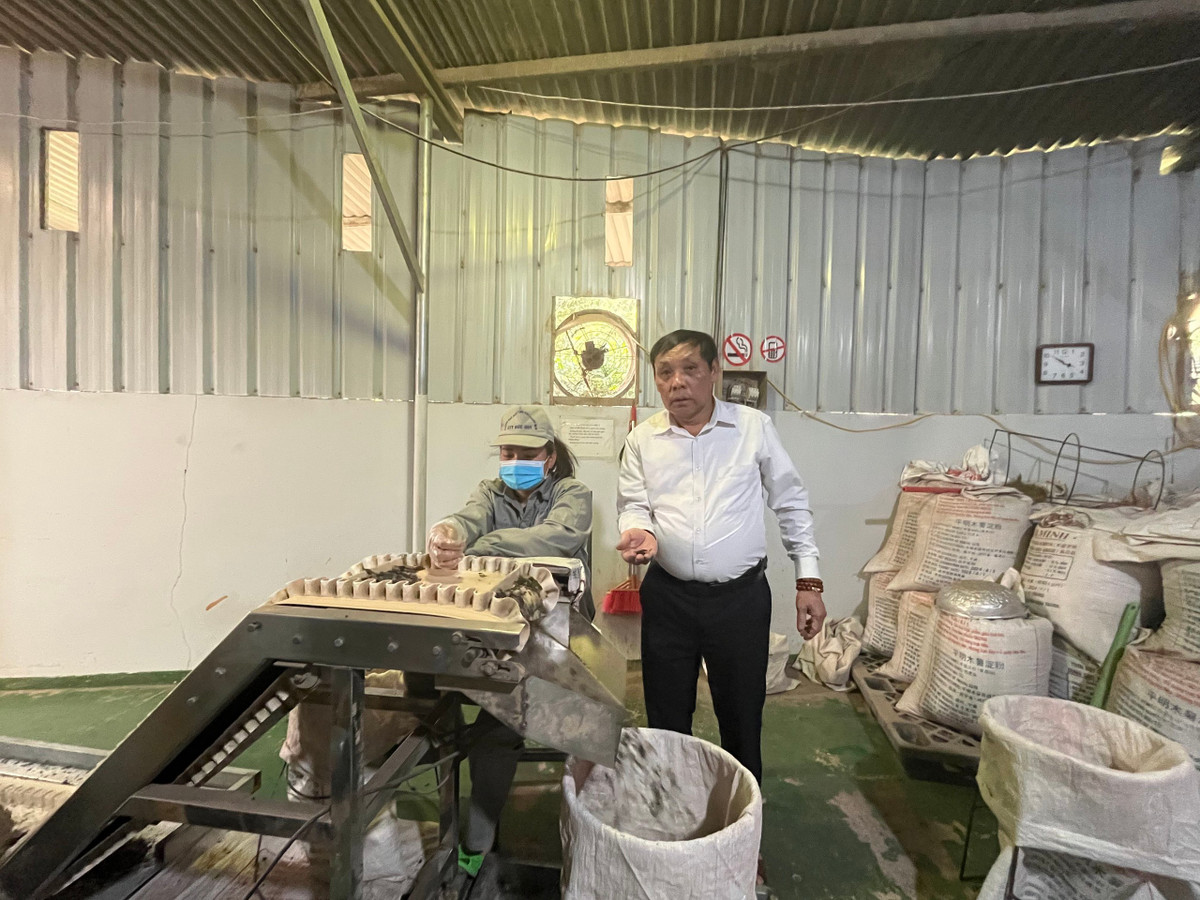 Trong cay “vang den” nong dan Lang Son thu hang tram ty dong/nam-Hinh-3