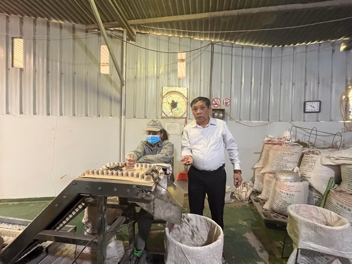 Trong cay “vang den” nong dan Lang Son thu hang tram ty dong/nam-Hinh-3