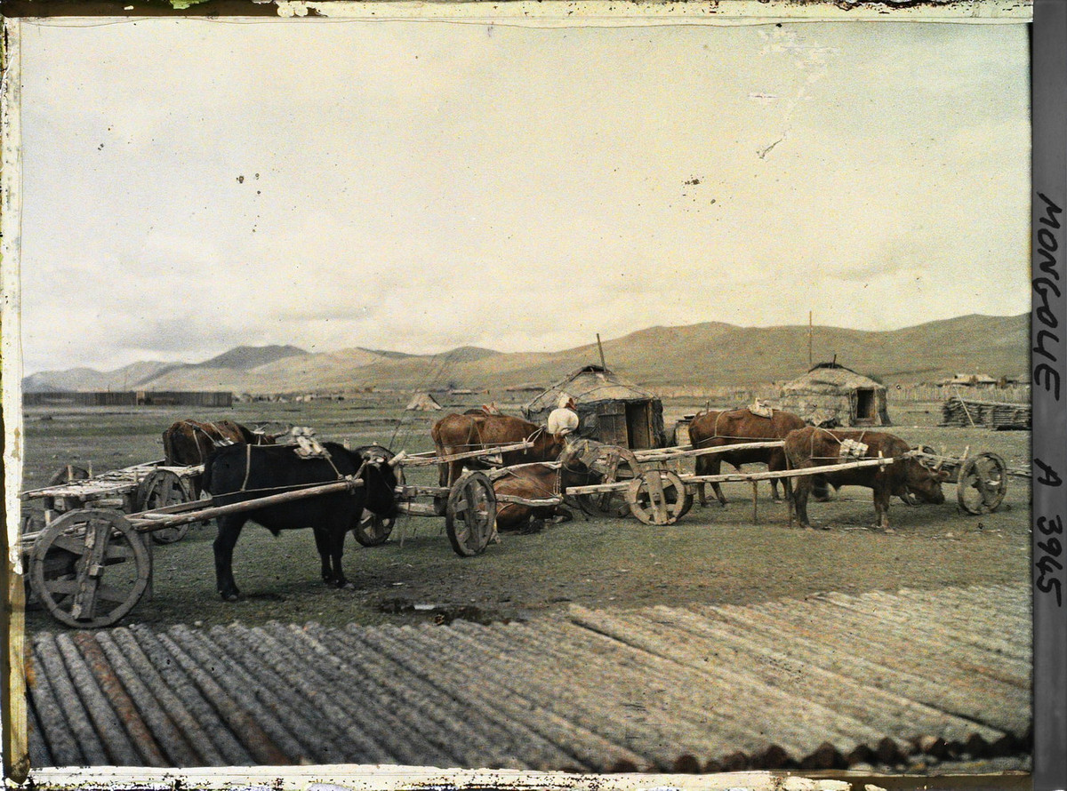 Những chiếc xe bò kéo tập kết gần khu trại của người du mục.