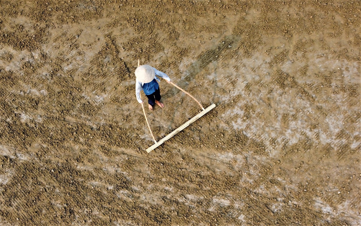 “Muot mo hoi, soi nuoc mat” voi nghe nguoi tre chan, nguoi gia tru-Hinh-2