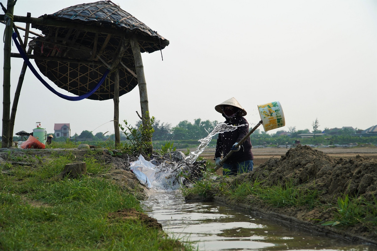 “Muot mo hoi, soi nuoc mat” voi nghe nguoi tre chan, nguoi gia tru-Hinh-5