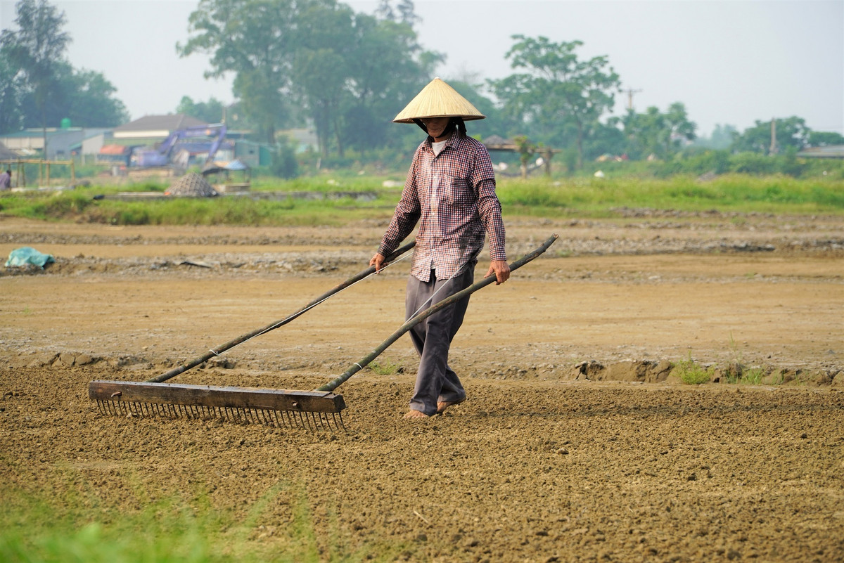 “Muot mo hoi, soi nuoc mat” voi nghe nguoi tre chan, nguoi gia tru-Hinh-3