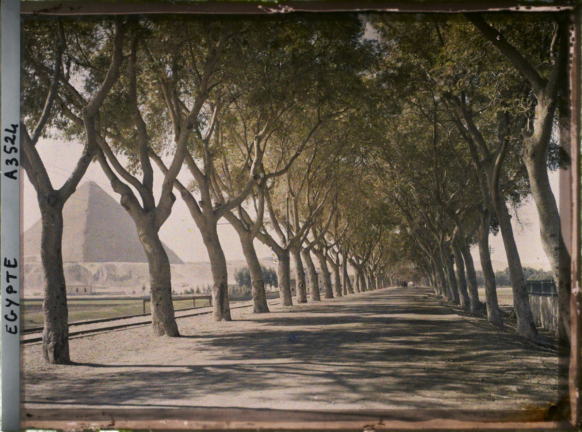 Con đường rợp bóng cây ở Cairo dẫn về các kim tự tháp ở Giza, Ai Cập năm 1914. Ảnh: Auguste Léon/Collections.albert-kahn.hauts-de-seine.fr.
