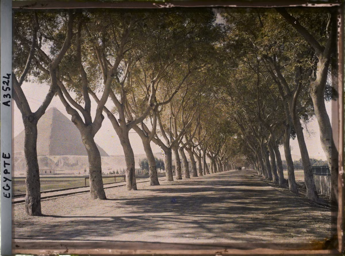 Con đường rợp bóng cây ở Cairo dẫn về các kim tự tháp ở Giza, Ai Cập năm 1914. Ảnh: Auguste Léon/Collections.albert-kahn.hauts-de-seine.fr.