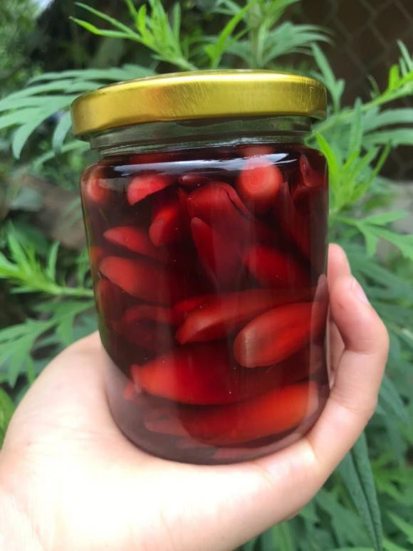 Loai cu thuong duoc lay cho lon an hoa ra la 