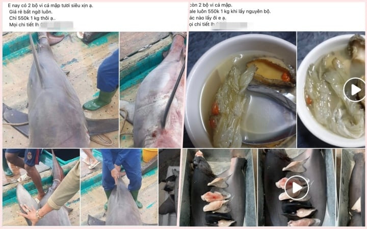 Bào ngư, vi cá mập giá rẻ giật mình, bán tràn "chợ mạng" - Hình 2 Bao ngu, vi ca map gia re giat minh, ban tran