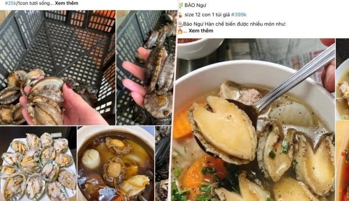 Bào ngư, vi cá mập giá rẻ giật mình, bán tràn "chợ mạng" Bao ngu, vi ca map gia re giat minh, ban tran