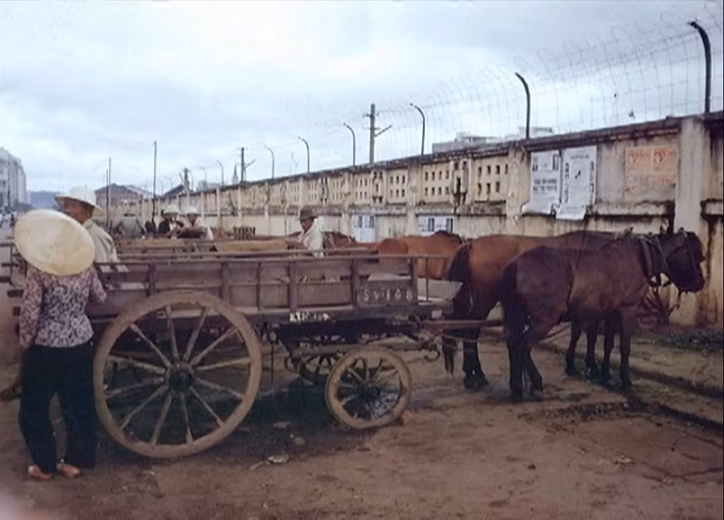 Xe ngựa tập kết ngoài ga Sài Gòn cũ, đường Phạm Ngũ Lão.
