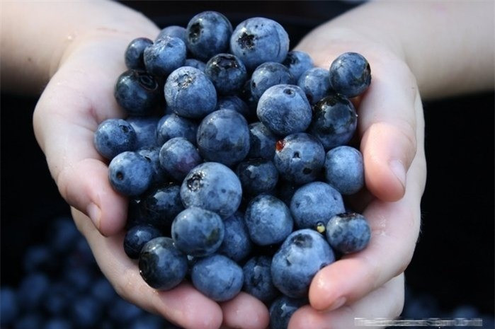 Nhung thuc pham khong nen nau chin vi de mat het duong chat