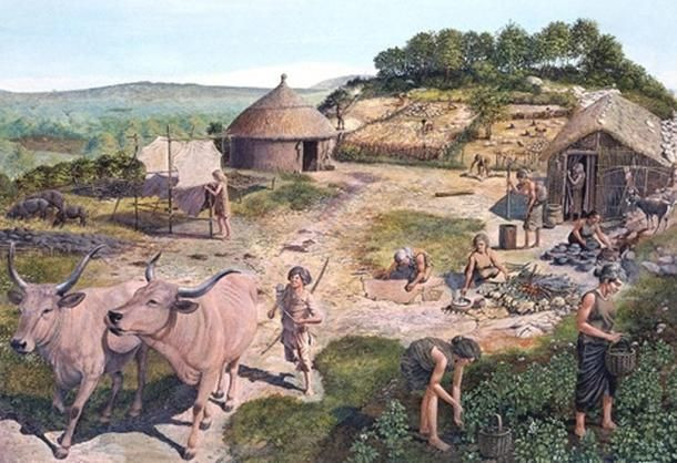  4. Nông nghiệp (khoảng 15.000 TCN): Khoảng năm 15.000 TCN, quá trình thuần hóa động vật bắt đầu diễn ra và sau đó là quá trình cải tạo giống các loài thực vật phục vụ mục đích trồng trọt. Quá trình này đóng vai trò cốt lõi cho sự tiến bộ của loài người.