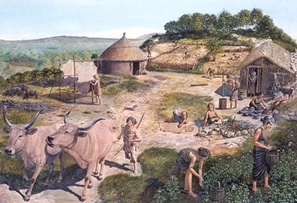  4. Nông nghiệp (khoảng 15.000 TCN): Khoảng năm 15.000 TCN, quá trình thuần hóa động vật bắt đầu diễn ra và sau đó là quá trình cải tạo giống các loài thực vật phục vụ mục đích trồng trọt. Quá trình này đóng vai trò cốt lõi cho sự tiến bộ của loài người.