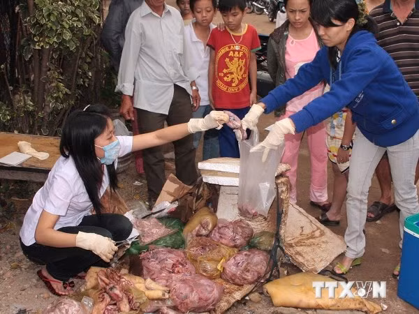 Lấy mẫu lô hàng thịt đã phân hủy bị bắt giữ.