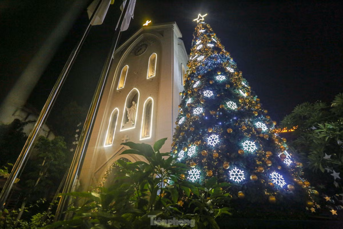 Cây thông cao chừng 7m lấp lánh tại một góc nhà thờ, cạnh hang đá.