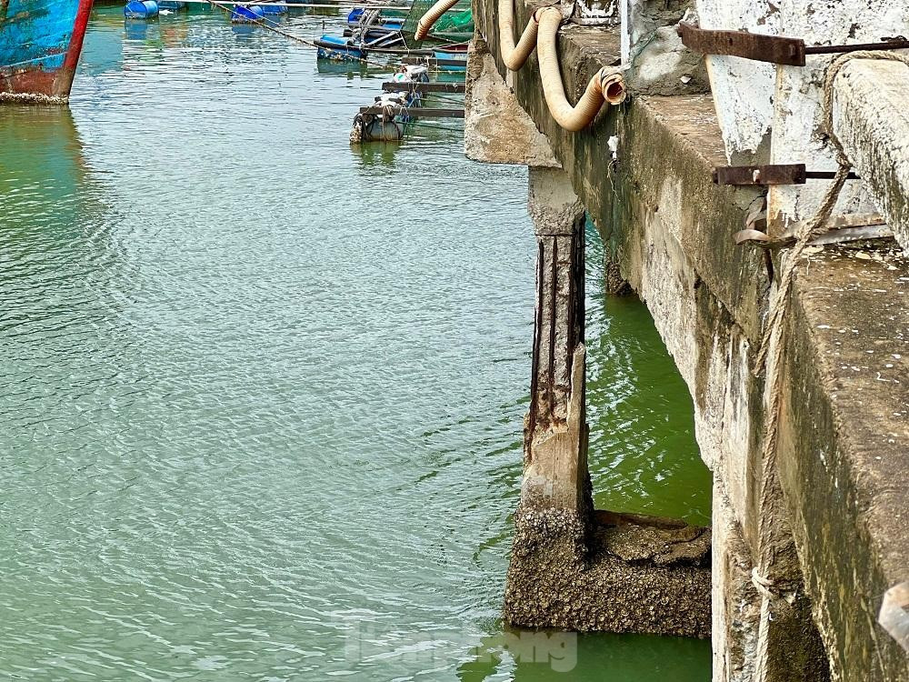 Cầu rệu rã sắp sập, người dân vẫn buộc phải... đi qua! - Hình 3 Cau reu ra sap sap, nguoi dan van buoc phai... di qua!-Hinh-3