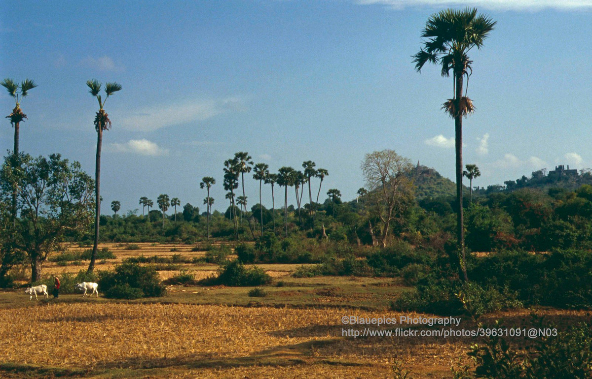 Các đền tháp cổ của Oudong nằm trên ngọn đồi phía xa. Nằm cách thủ đô Phnom Penh 40 km về phía Tây Bắc, nơi đây là kinh đô của Campuchia từ thế kỷ 17 đến thế kỷ 19.