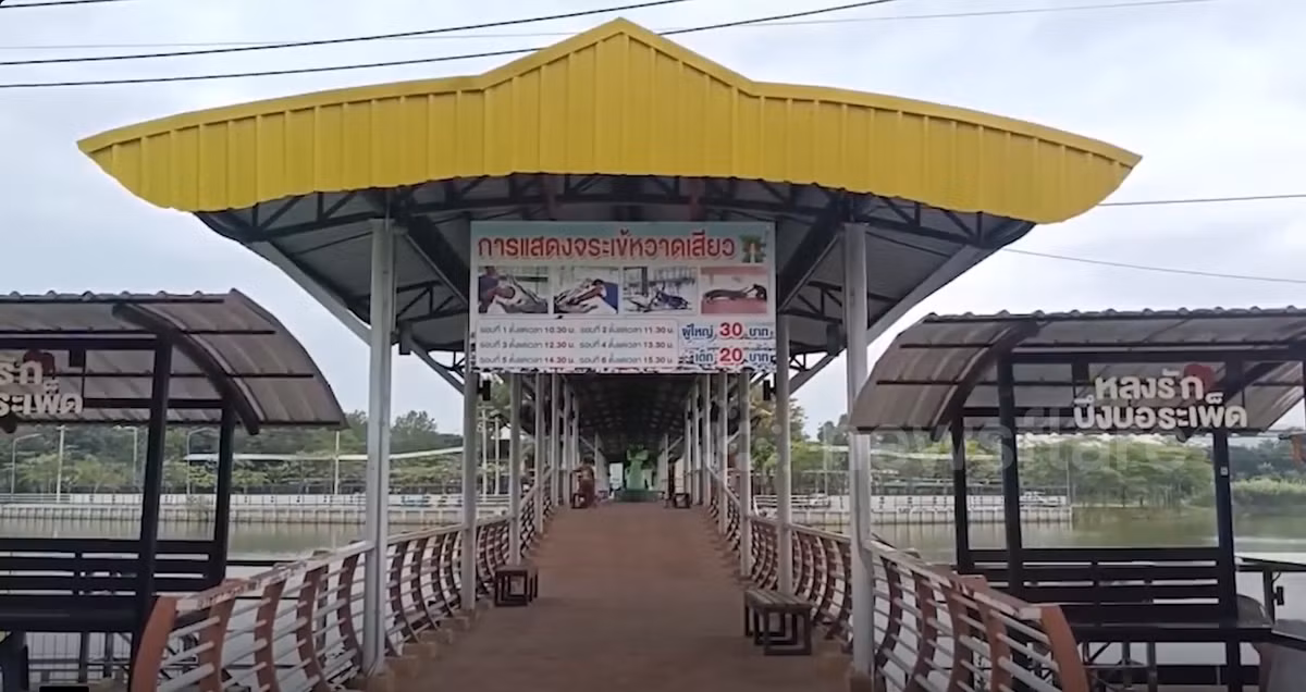 Cá sấu cắn huấn luyện viên trước sự chứng kiến của khán giả Ca sau can huan luyen vien truoc su chung kien cua khan gia