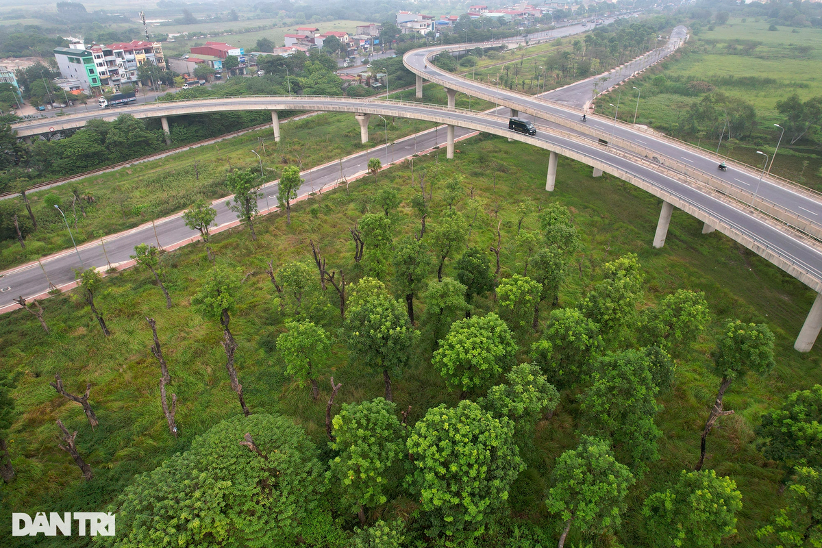 Vạt cây xanh trên thảm cỏ xanh ngắt khiến cho không gian giao thông bớt vẻ nhàm chán.