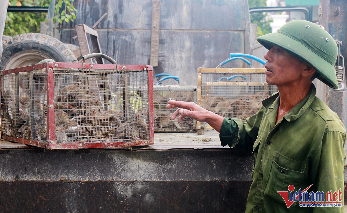 Do xo san con pha hoai mua mang, thu tien trieu van khong du ban-Hinh-2