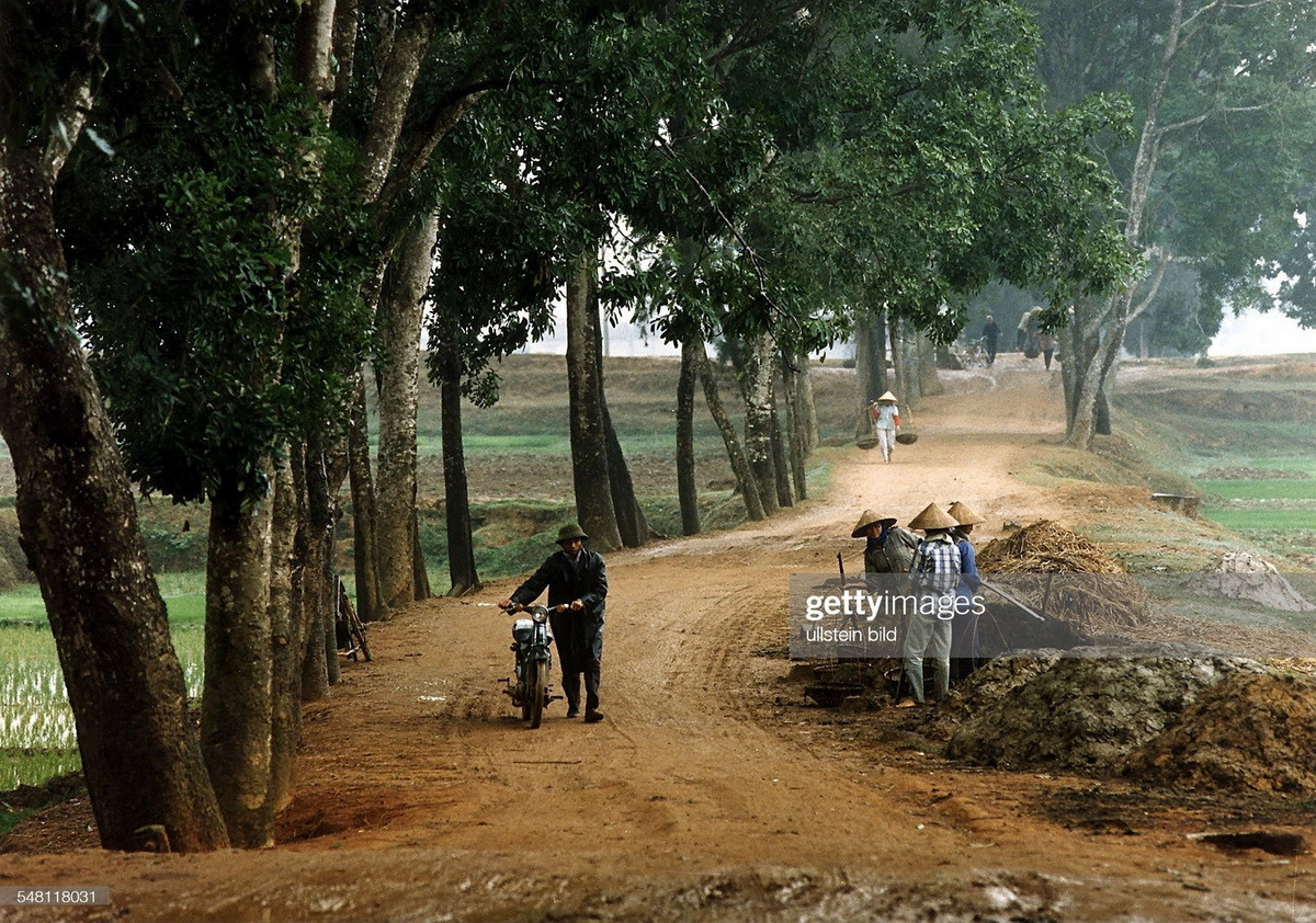 Một con đường ở vùng nông thôn ngoại thành Hà Nội.