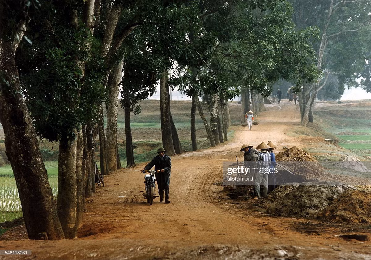 Một con đường ở vùng nông thôn ngoại thành Hà Nội.