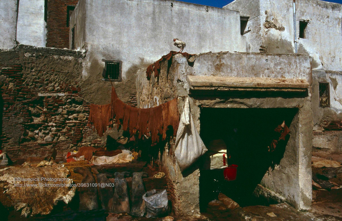 Bên ngoài một xưởng thuộc da ở Tetouan.