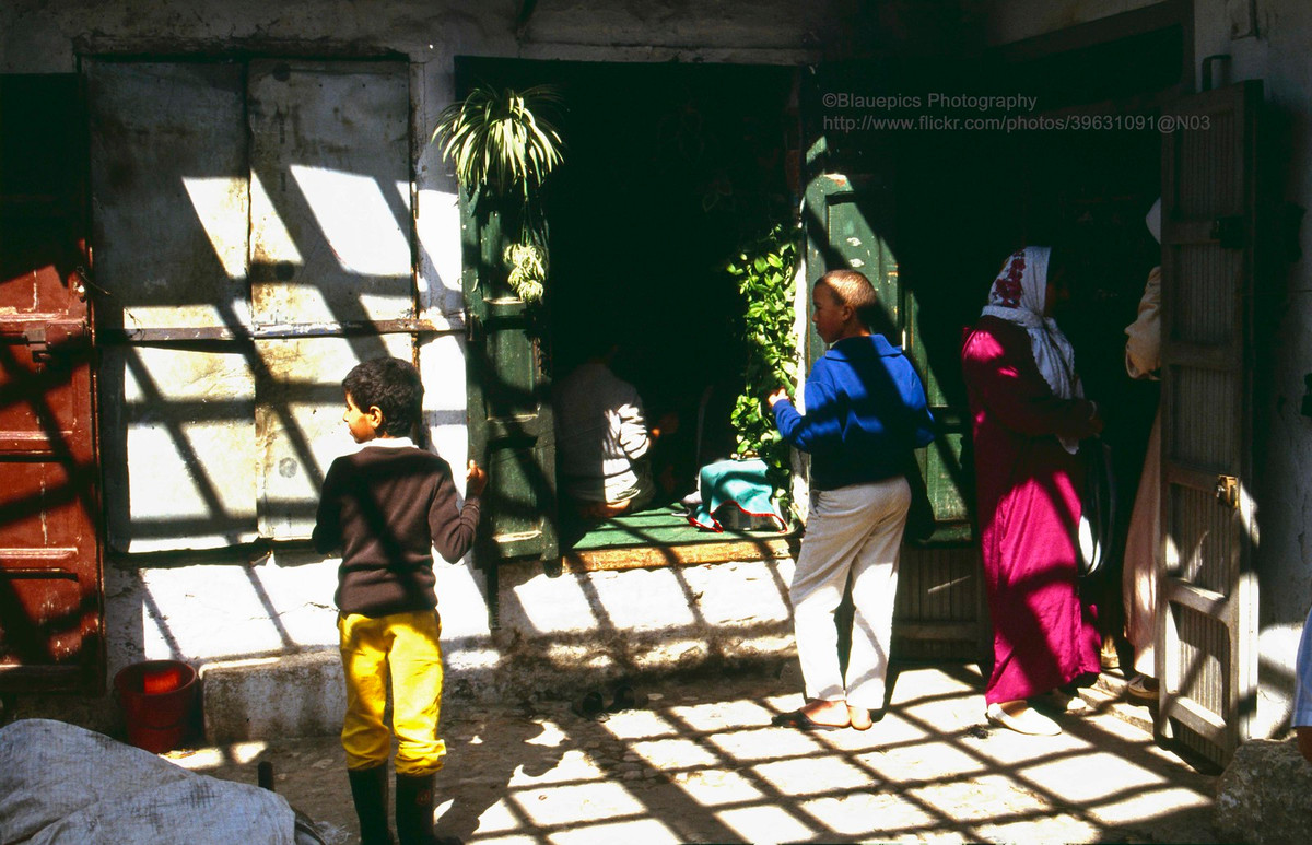 Ánh nắng tràn ngập sân trong của một ngôi nhà.