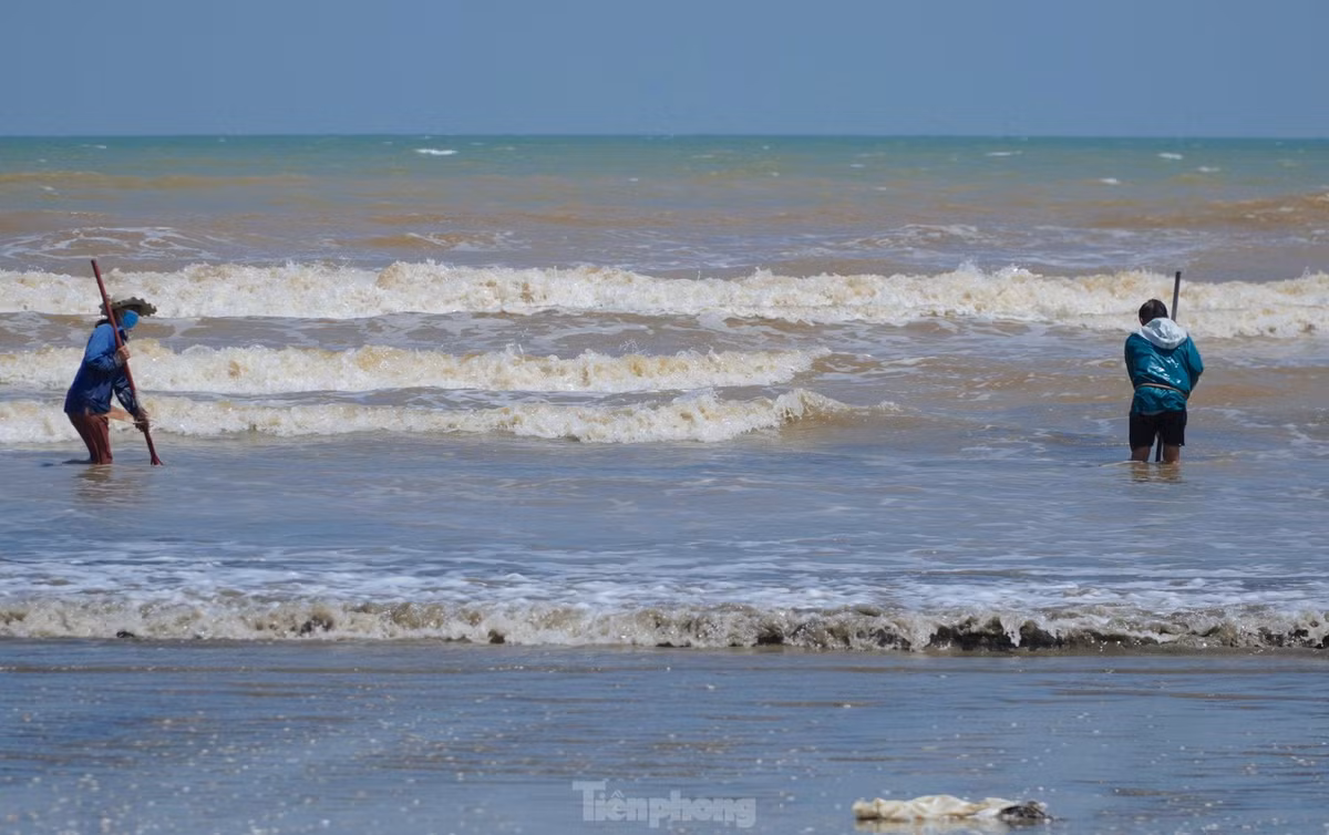 Người dân nơi đây gọi đây là nghề "đi giật lùi" vì tất cả mọi người từ kéo cá, cào ngao đều phải đi lùi về phía sau. Trong ảnh dụng cụ người dân dùng để đi bắt ngao là một chiếc cào tre dài chừng 1,5m có gắn một chiếc lưỡi sắt dài phía dưới.