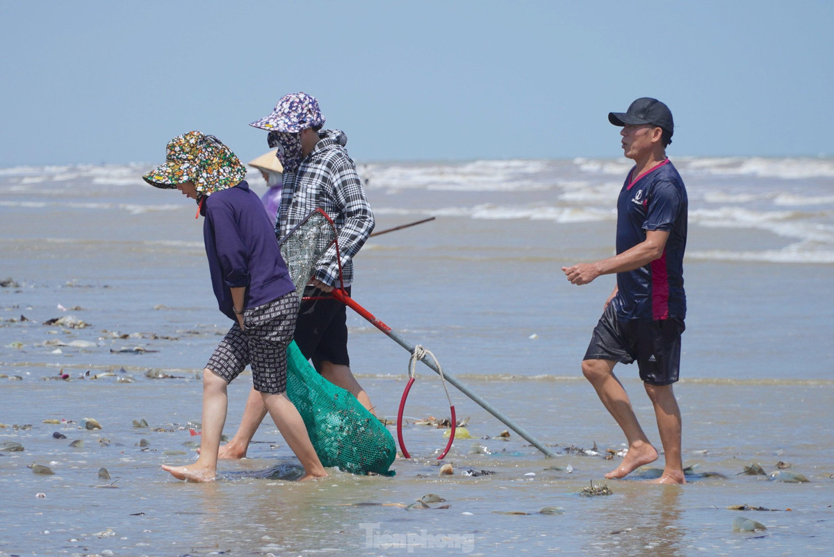 Sau nhiều giờ dầm mình dưới nước biển, người dân mang ngao, sò vào bờ để bán cho thương lái.