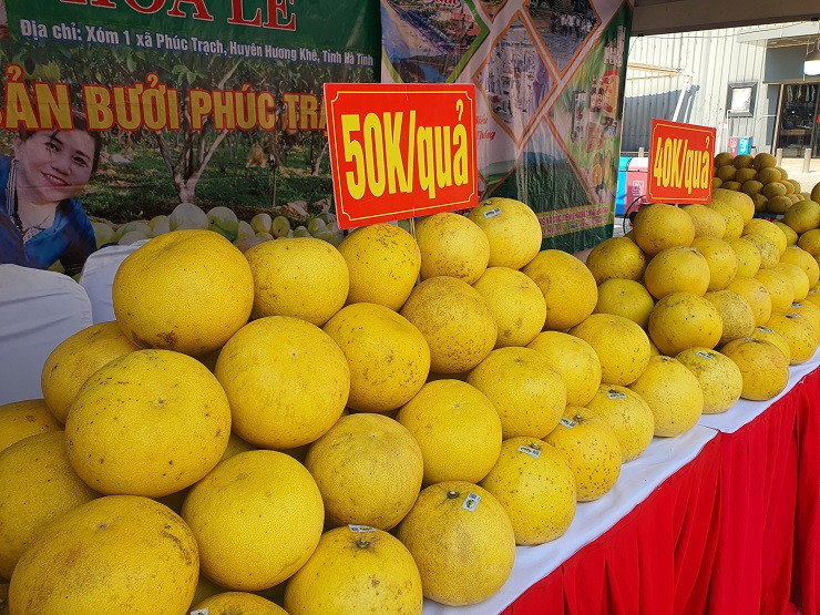 Đặc sản Hà Tĩnh “đổ bộ” Thủ đô, có loại lên đến 40 triệu đồng/kg - Hình 3 Dac san Ha Tinh “do bo” Thu do, co loai len den 40 trieu dong/kg-Hinh-3