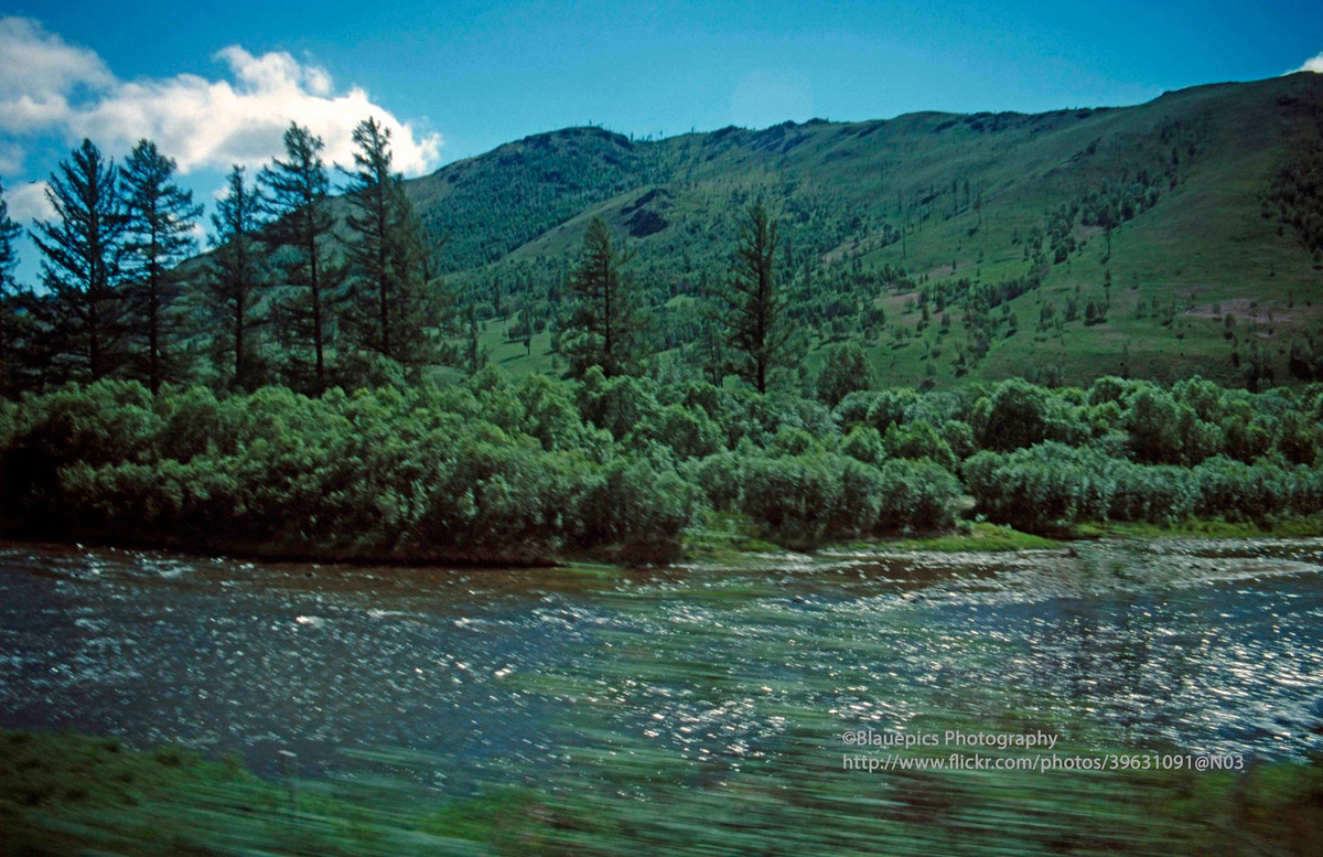 Thảm thực vật trù phú bên một con sông.