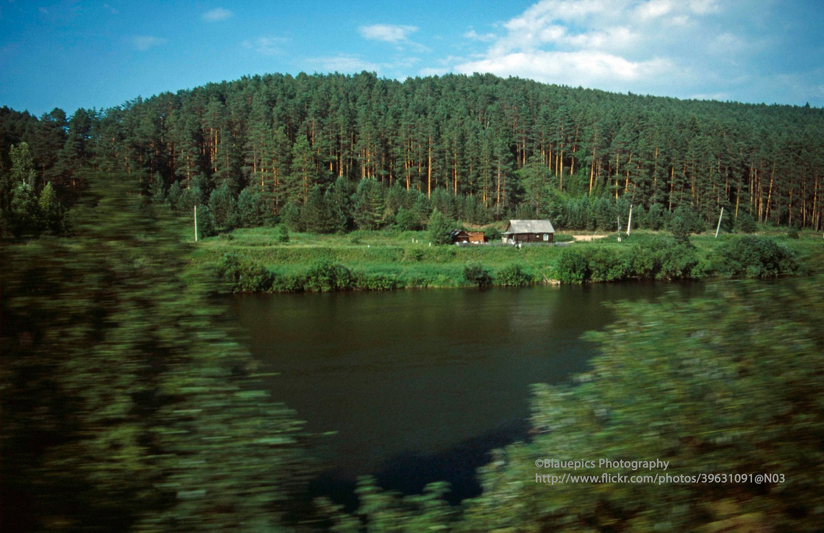 Ngôi nhà gỗ nằm bên rừng taiga.